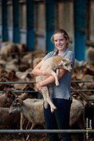 Anoek heeft bijbaantje met schapen