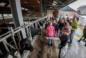 Leerlingen krijgen les in koeienstal