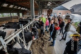 Leerlingen krijgen les in koeienstal
