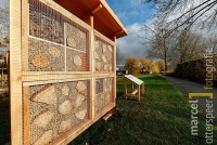 Gemeente plaatst bijenhotels