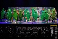 groep 8-musical brengt weer leven in theater Nobelaer