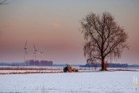 Winter in de polder