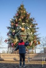 Pratende kerstboom en roetsjbaan kleuren feestdagen in Prinsenbe