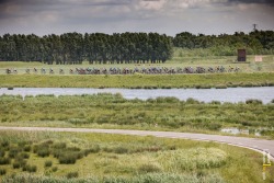 Ronde van de Biesbosch