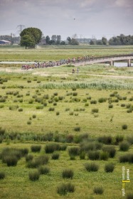 Ronde van de Biesbosch