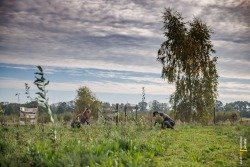's heeren vruntenbomenbosbrabants landschapetten-leurjournalistieklandschapleo ceelenpersplantenvoedselbos