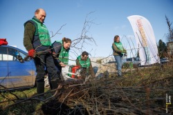 Vrijwilligers redden jonge boompjes