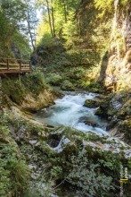 Walking Through Vintgar Gorge, Slovenia