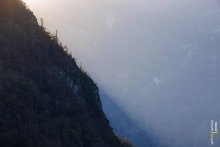 Avondzon over een naaldbomenrijk berghelling in Oostenrijk