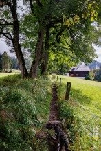 Tranquil Hiking Trail in the Austrian Alps with Distant Farmhous