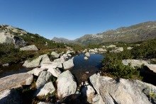 Sunny Alpine Pond Near Galtür with Large Stones