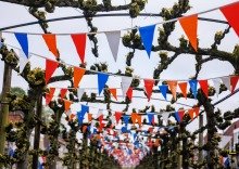 Traditional Dutch Festival Flags on King's Day